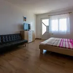 In 41216 *