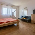 In 41216 公寓 德拉马利